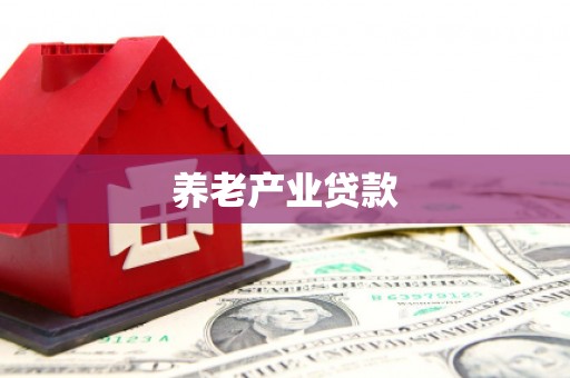 双湖养老产业贷款