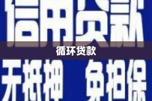 双湖循环贷款