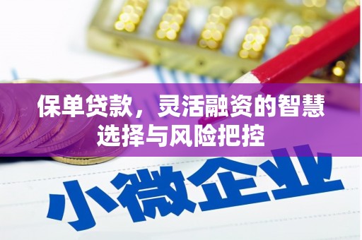 双湖保单贷款，灵活融资的智慧选择与风险把控