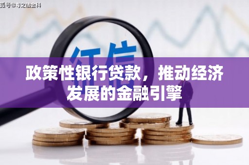 双湖政策性银行贷款，推动经济发展的金融引擎