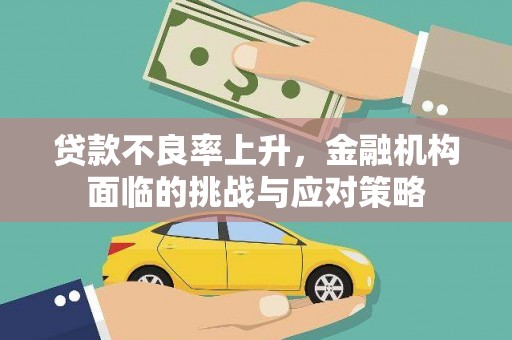 双湖贷款不良率上升，金融机构面临的挑战与应对策略
