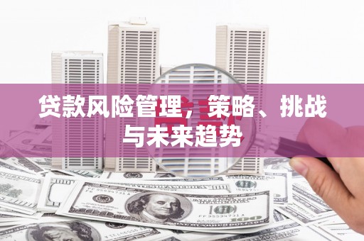 双湖贷款风险管理，策略、挑战与未来趋势