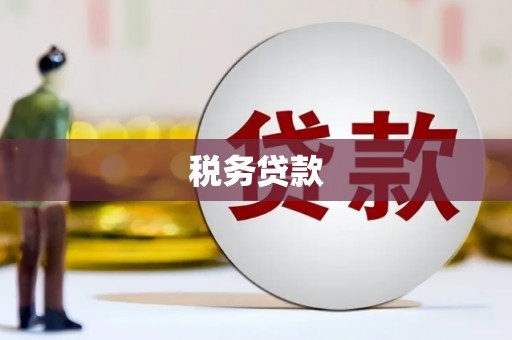 双湖税务贷款