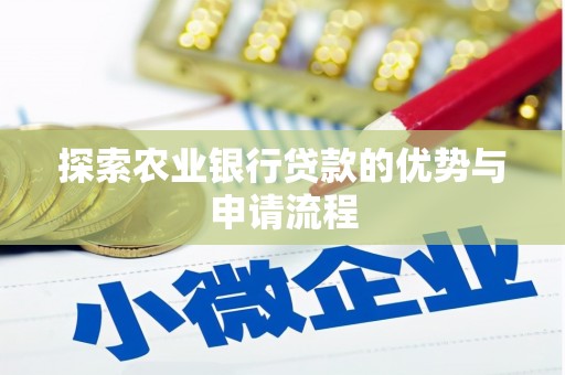 双湖探索农业银行贷款的优势与申请流程