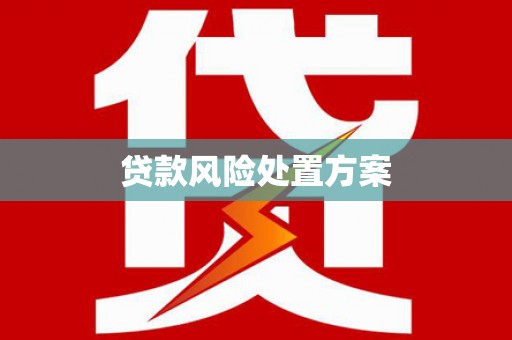 双湖贷款风险处置方案