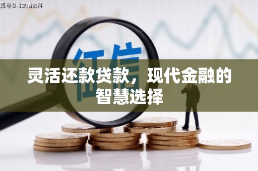双湖灵活还款贷款，现代金融的智慧选择