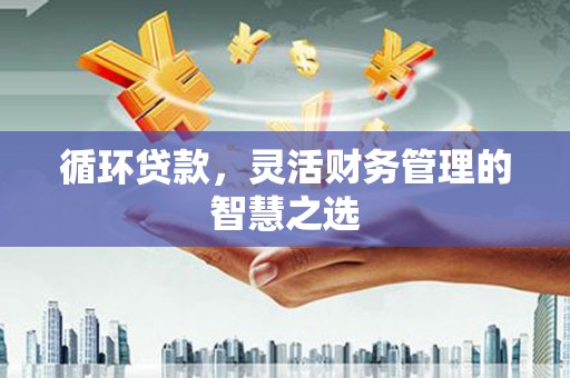 双湖循环贷款，灵活财务管理的智慧之选