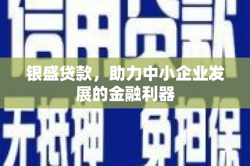 双湖银盛贷款，助力中小企业发展的金融利器