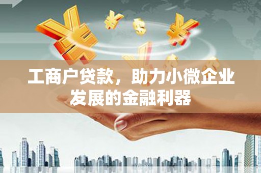 双湖工商户贷款，助力小微企业发展的金融利器