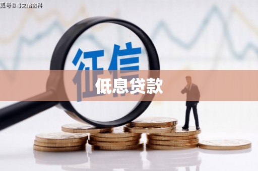 双湖低息贷款