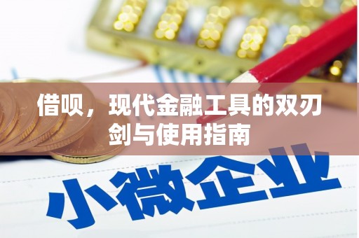 双湖借呗，现代金融工具的双刃剑与使用指南