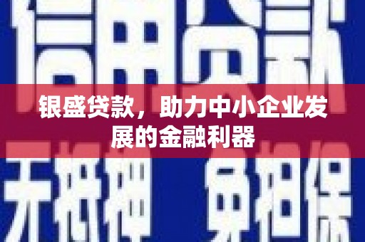 双湖银盛贷款，助力中小企业发展的金融利器