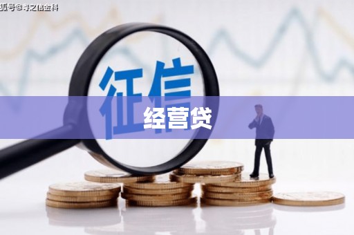 双湖经营贷