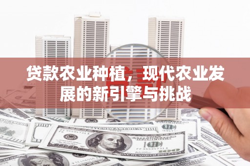 双湖贷款农业种植，现代农业发展的新引擎与挑战