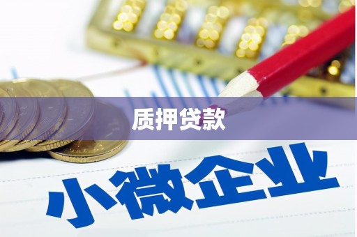 双湖质押贷款