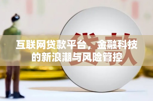 双湖互联网贷款平台，金融科技的新浪潮与风险管控