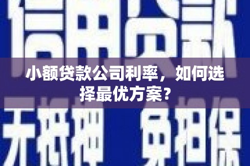 双湖小额贷款公司利率，如何选择最优方案？