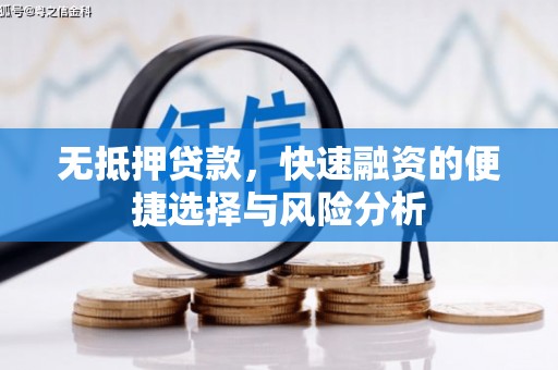 双湖无抵押贷款，快速融资的便捷选择与风险分析