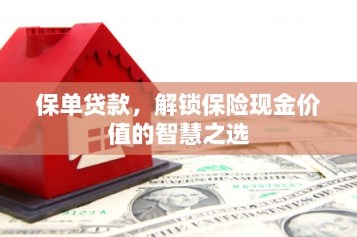 双湖保单贷款，解锁保险现金价值的智慧之选