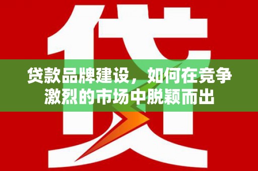 双湖贷款品牌建设，如何在竞争激烈的市场中脱颖而出