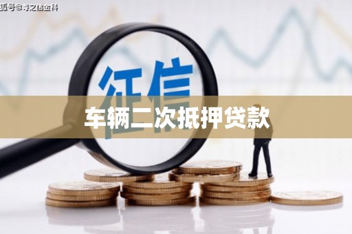 双湖车辆二次抵押贷款