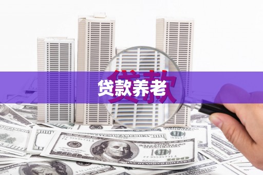 双湖贷款养老