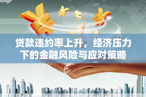 双湖贷款违约率上升，经济压力下的金融风险与应对策略