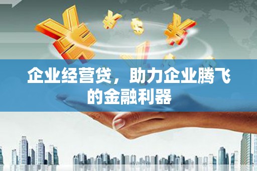 双湖企业经营贷，助力企业腾飞的金融利器