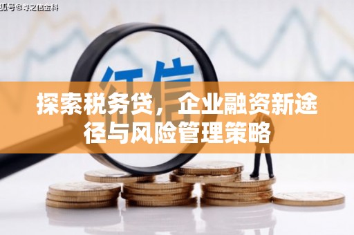 双湖探索税务贷，企业融资新途径与风险管理策略