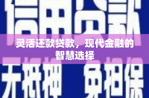 双湖灵活还款贷款，现代金融的智慧选择