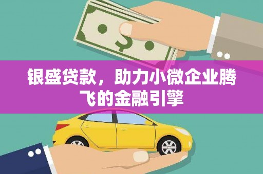 双湖银盛贷款，助力小微企业腾飞的金融引擎