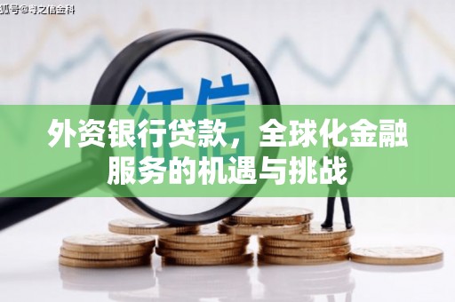 双湖外资银行贷款，全球化金融服务的机遇与挑战