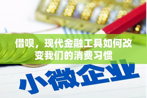 双湖借呗，现代金融工具如何改变我们的消费习惯