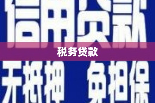 双湖税务贷款