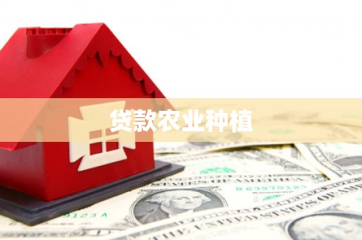 双湖贷款农业种植