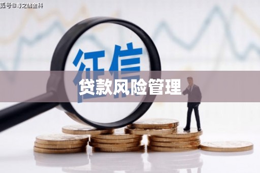 双湖贷款风险管理