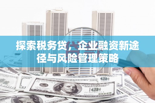 双湖探索税务贷，企业融资新途径与风险管理策略