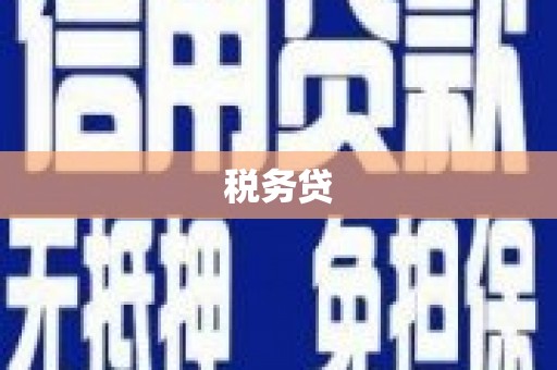 双湖税务贷
