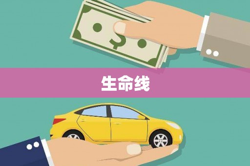 双湖生命线