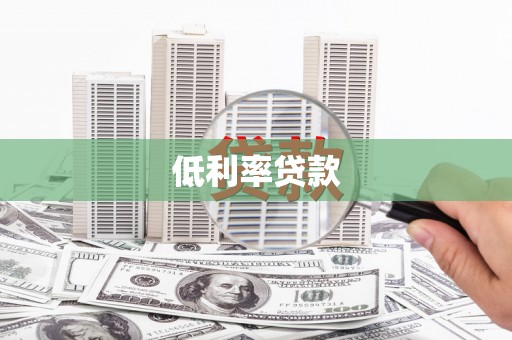 双湖低利率贷款