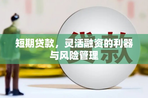双湖短期贷款，灵活融资的利器与风险管理