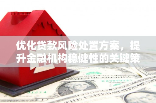 双湖优化贷款风险处置方案，提升金融机构稳健性的关键策略