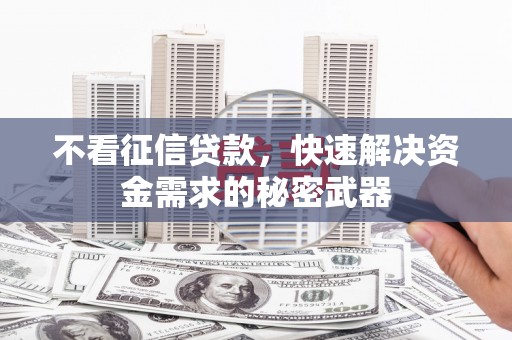 双湖不看征信贷款，快速解决资金需求的秘密武器