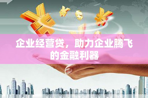 双湖企业经营贷，助力企业腾飞的金融利器