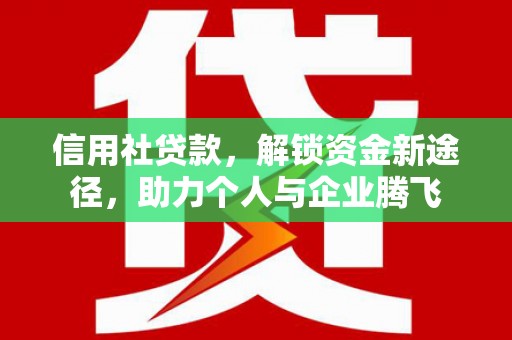 双湖信用社贷款，解锁资金新途径，助力个人与企业腾飞