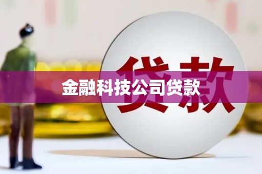 双湖金融科技公司贷款