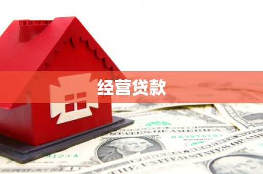 双湖经营贷款