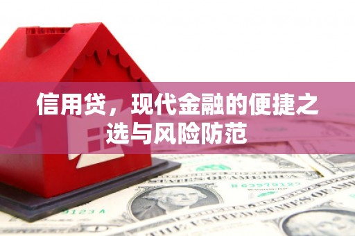 双湖信用贷，现代金融的便捷之选与风险防范