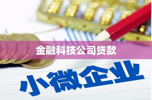 双湖金融科技公司贷款