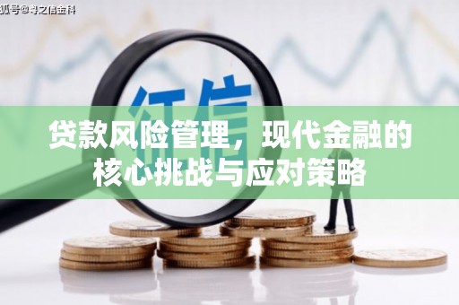 双湖贷款风险管理，现代金融的核心挑战与应对策略